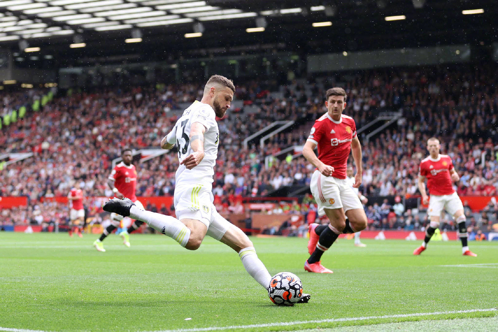 市场向来不 市场向来不